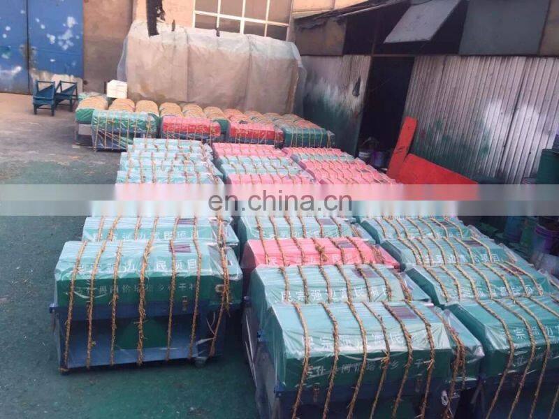 Green walnut cleaning machine/walnut skin peeling and cleaning machine