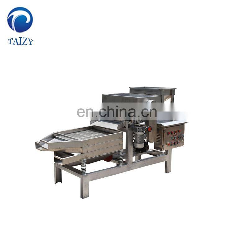 Taizy Straight knife nut chopper crushing machine almond chestnut cutting machine peanut chopping machine