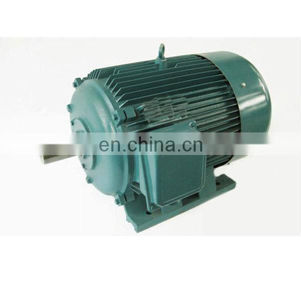Three Phase CE Certificate 350W Electrical Motor