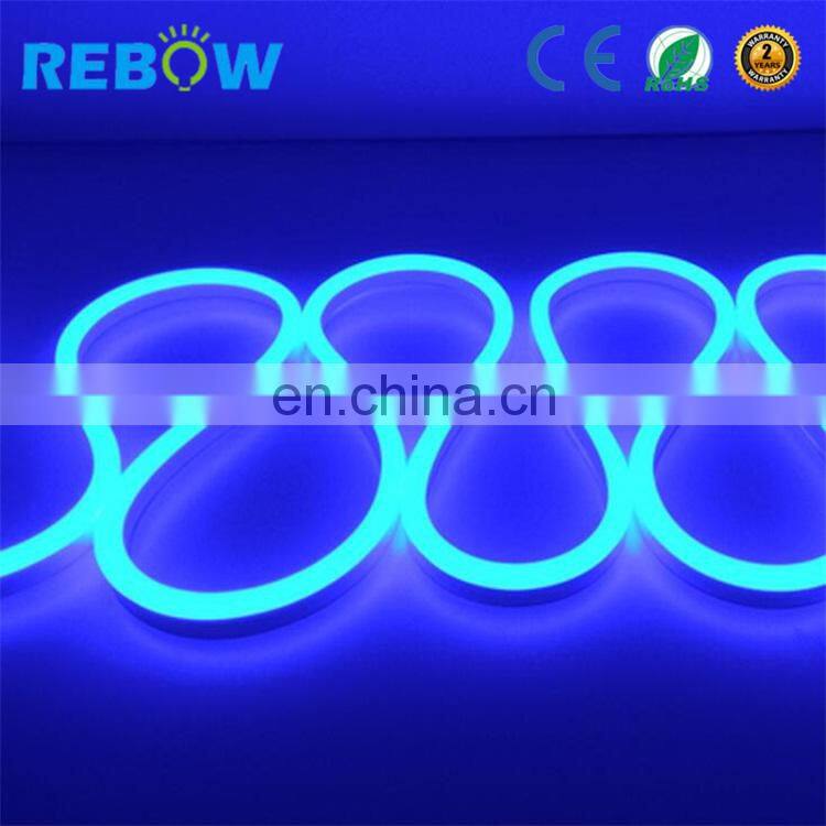 CE RoHS Approved pixel led neon flex waterproof led neon flex rgb hose for indoor or outdoor