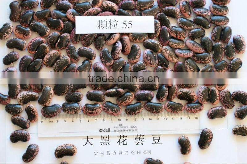 Large Black Speckled Kidney Beans, max. 45/100gr