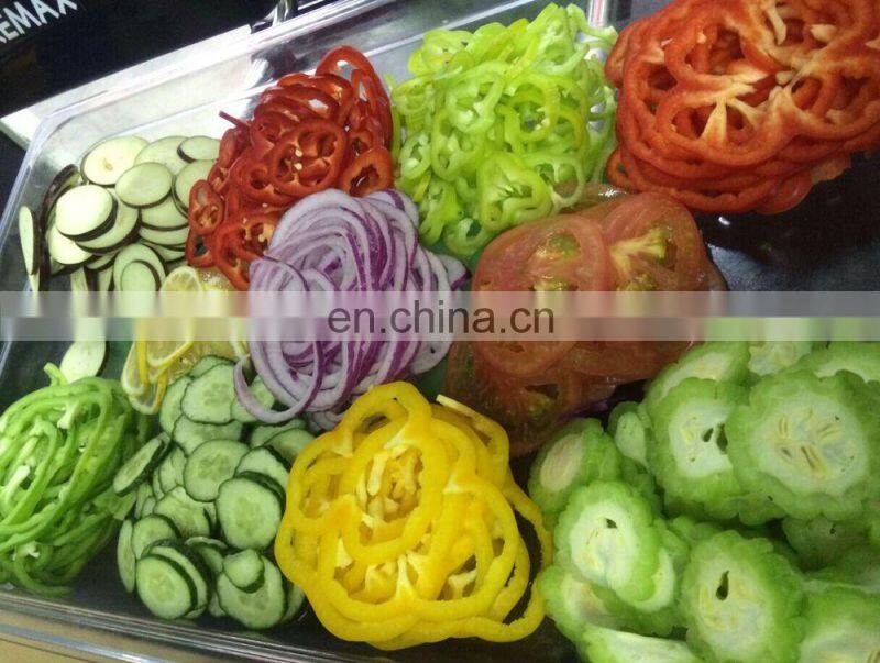 multifunctional vegetables slicing machine DX-100 on fruit and vegetable processing machines