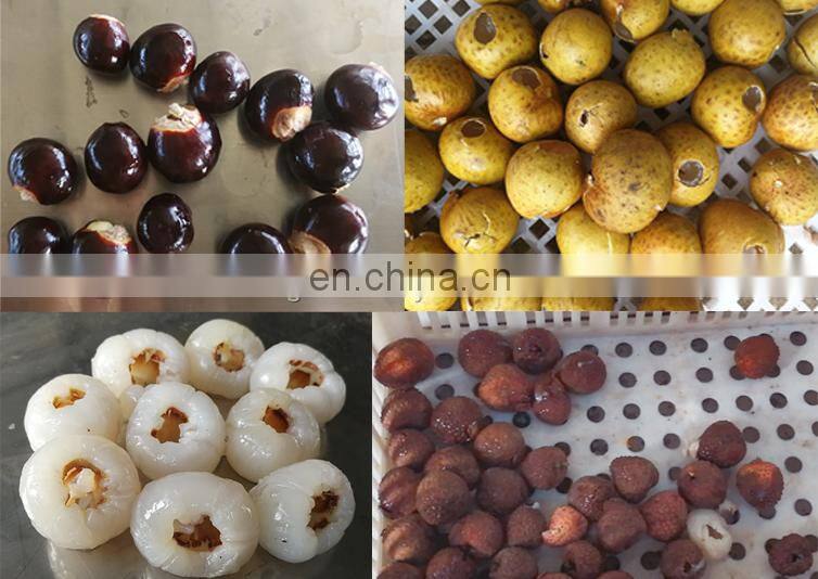 Best quality fruit litchi chinensis kernel remover pitting remove machine