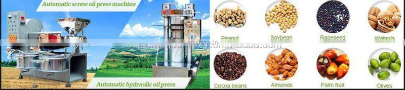 Jatropha Palm Sacha Inchi Peanut Sesame Hazelnut Flax Seed Cold Screw Oil Filter Press Expeller Machine
