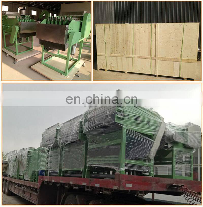 Raw Cashew Nut Production Line Cashew Nuts Processing Machine cashew nut cracker