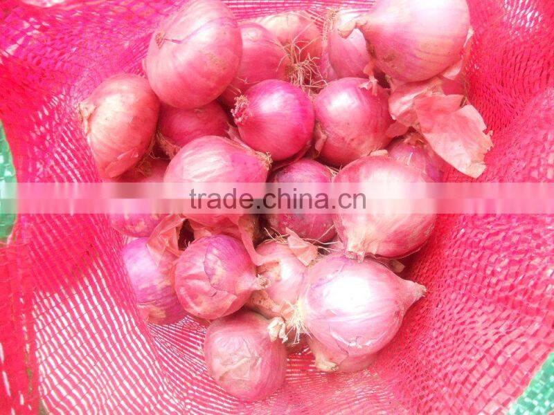 2015 Chinese fresh red shallot Onion