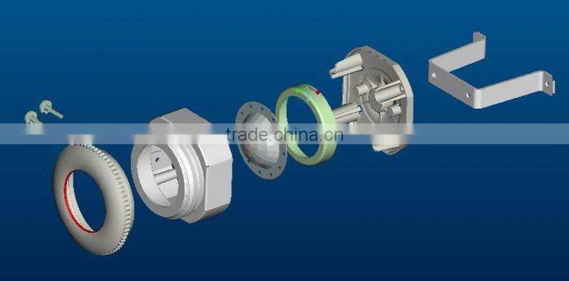 TAIYITO motion sensor ceiling light