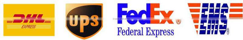 road bike or mountain bike cycling jersey bib shorts