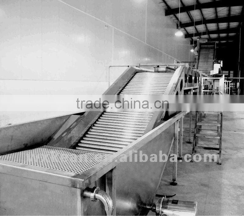 Industry fruit wash machine(surf type cleaner)