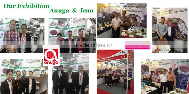 2016 new crop sunflower seeds 3638 market price