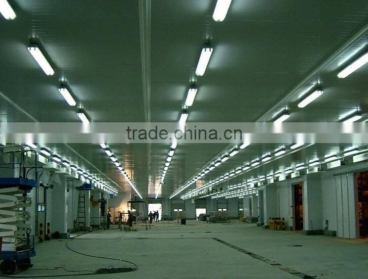 cold storage for keeping fruits/vegetables/eggs fresh