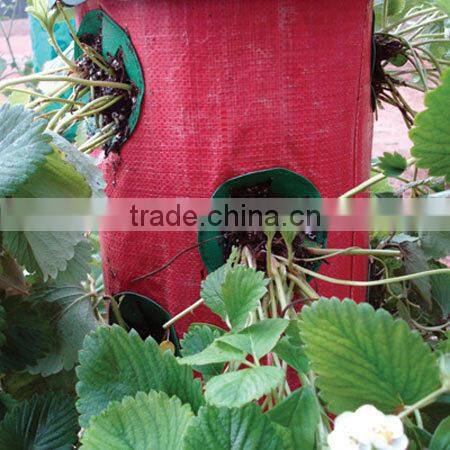Plastic Vertical Wall Planter, Durable Hanging Wall Planter Bags,Hanging Wall Grow Bags With Pocket For Herb/Flower