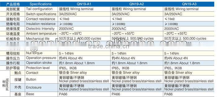 Flat 19mm push button switch