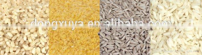 Hot Sale DXY Nutritional Rice Processing making Line