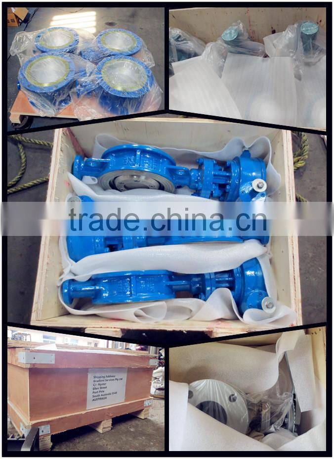 China OEM Manufacturer Custom 6 Inch Butterfly Valve with pneumatic actuators triple eccentric butterfly valve