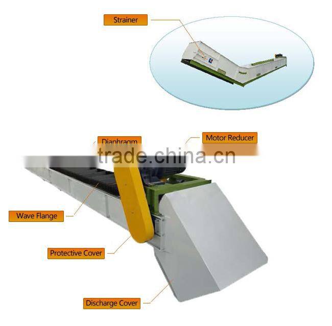 Professional Chain Conveyor