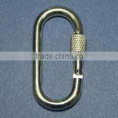 Stainless Steel Carabiner Hooks