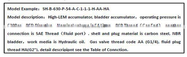 Bladder accumulator hydraulic accumulator