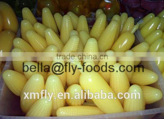 assorted fruit jelly stick