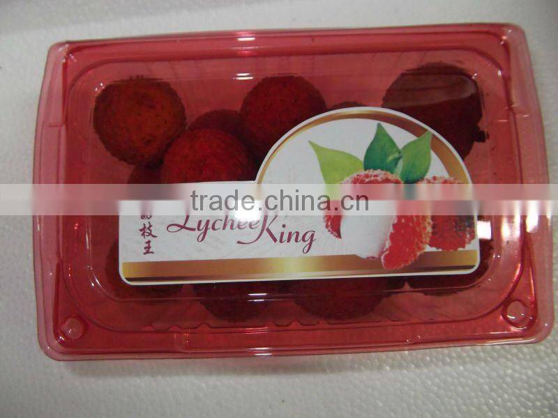 Chinese Feizixiao Lichee for sale