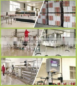 halal certification chicken bouillon cubes