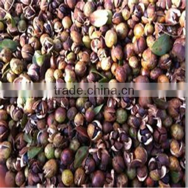 low price hydraulic oil press/walnout oil press machine
