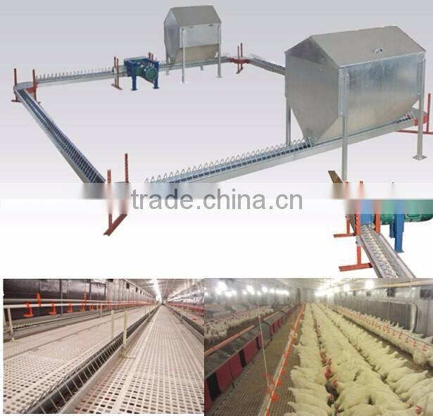 automatic feeders for poultry chickens