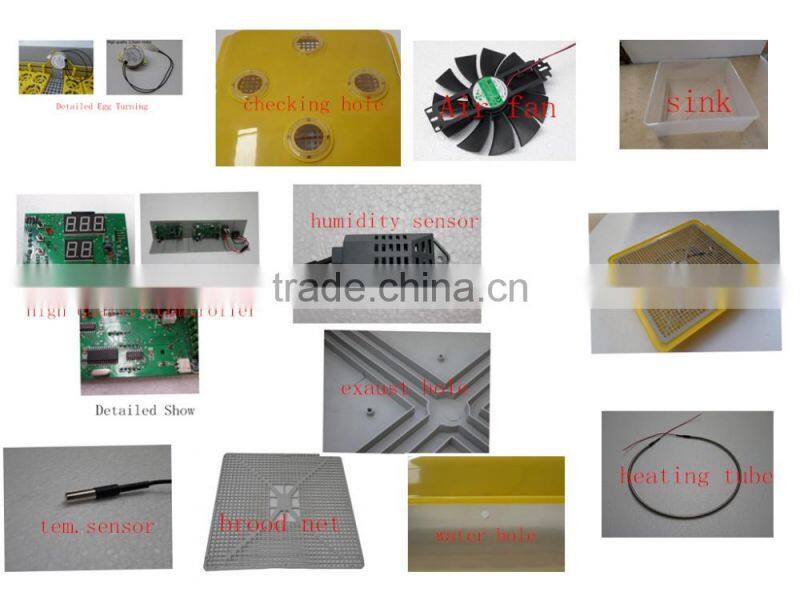 fully automatic mini egg incubator for eggs price in China WQ-196