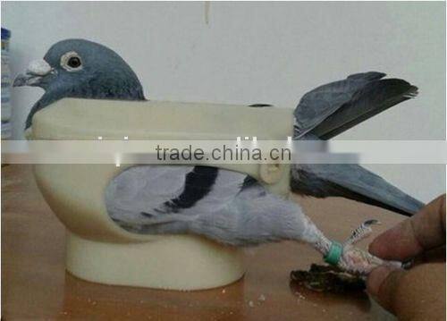 Pigeon fixer/pigeon holder