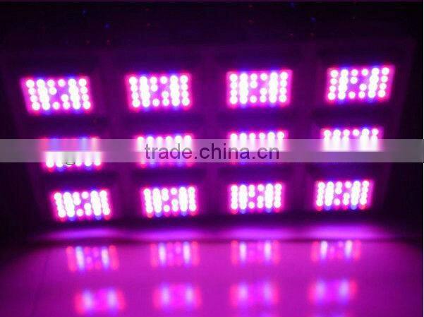 growing healthily with the led grow lights system