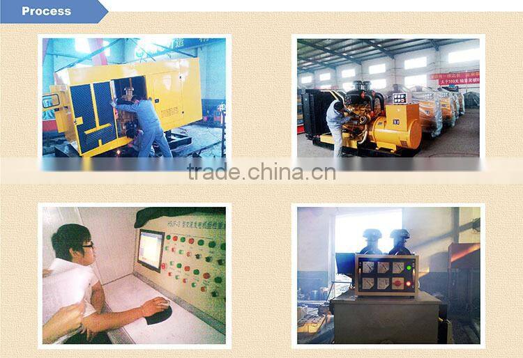 30KW shuiwang diesel generator set
