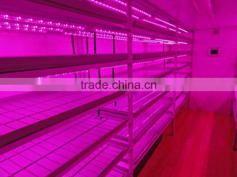 High Power IR LED ,42mil Epileds Chip,Powerful IR LEDs 200W/300W