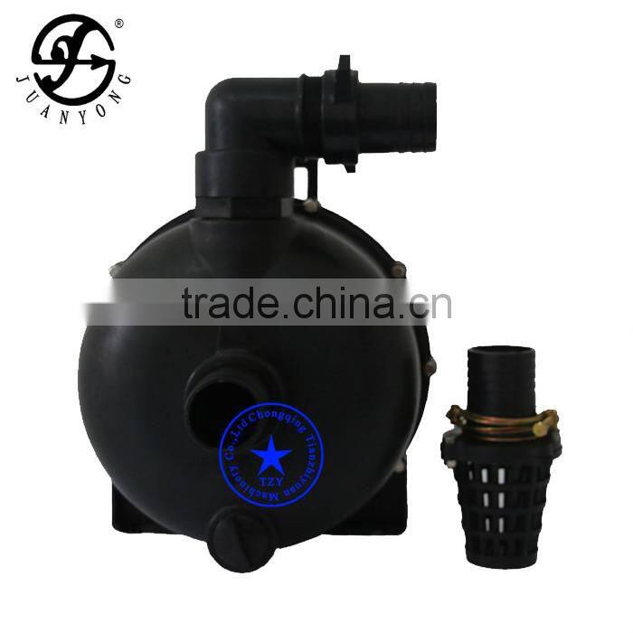 Engine or motor driven portable chemical pump