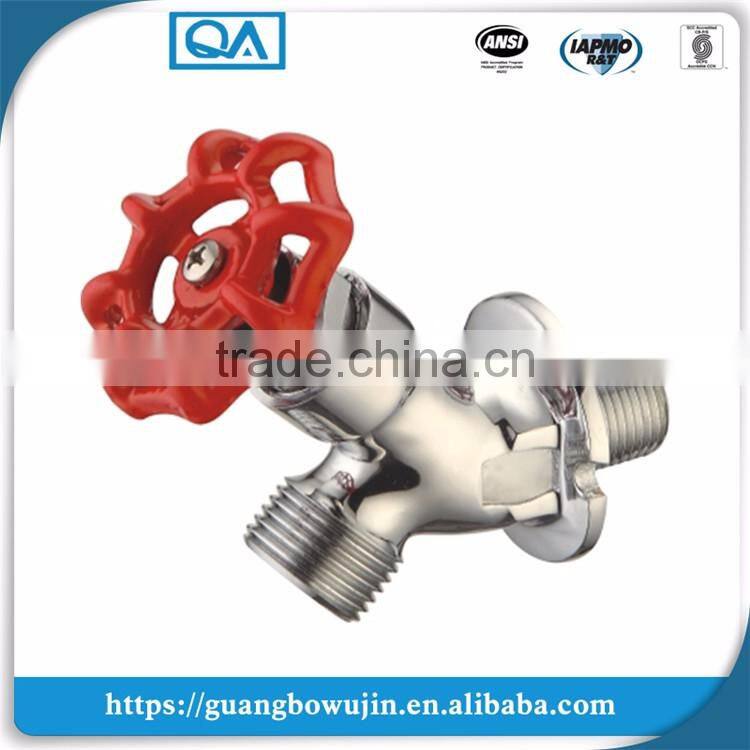 Exposed wall mounted faucet with vacuum breaker