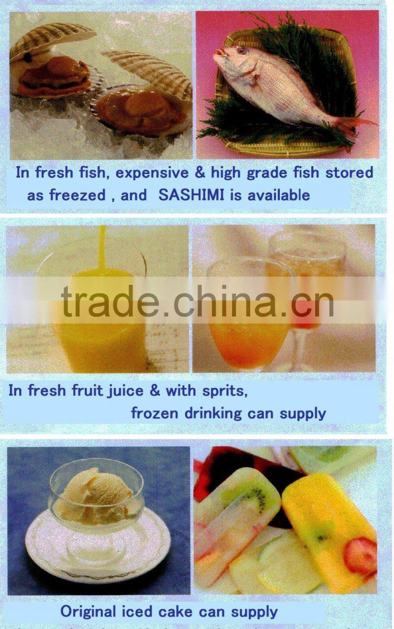 Durable Restaurant Supplies liquid instantaneous freezer at high cost performance