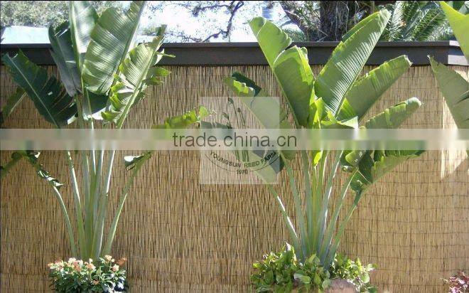 bamboo split fence