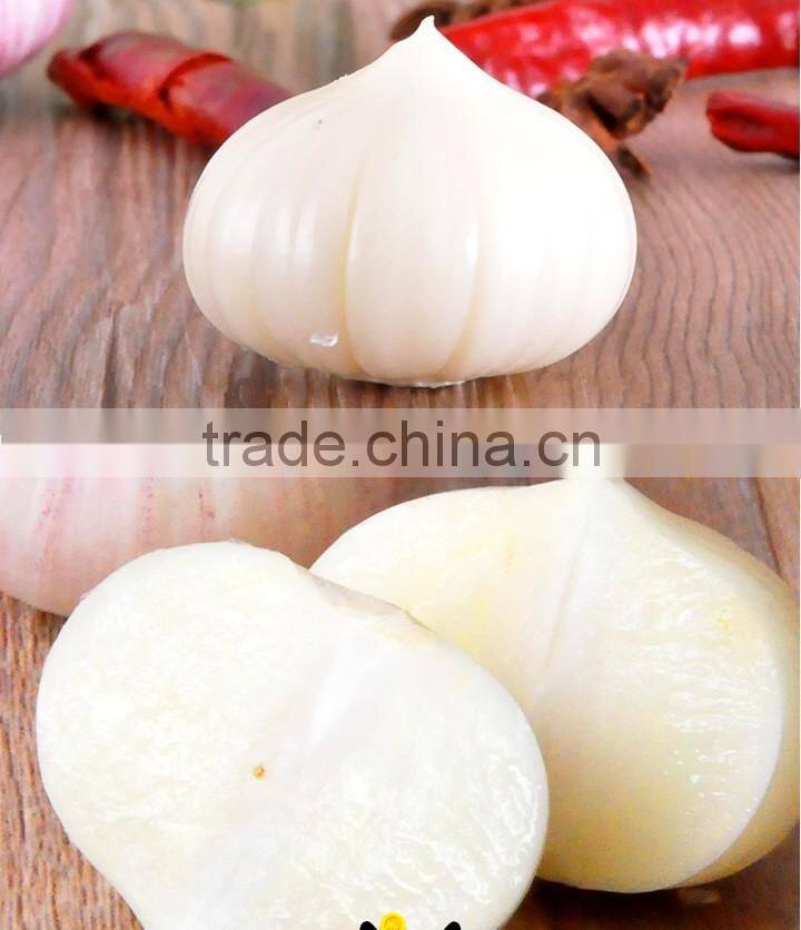 wholesale Chinese purple and white garlic