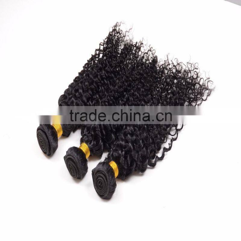 Virgin Hair Wholesale Suppliers 8-30" Mongolian Kinky Curly Hair