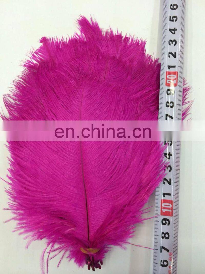 Factory wholesale top quality Ostrich Feathers cheap