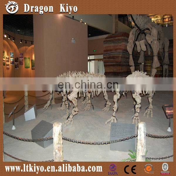 2016 life size realistic t-rex dinosaur skeleton model for sale