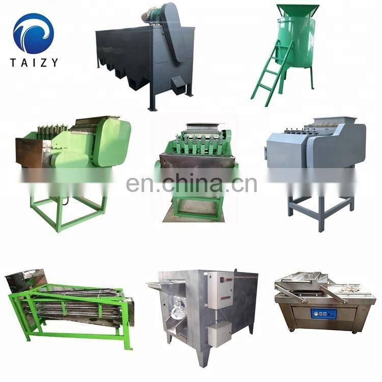 Taizy Hot Selling Cashew Nuts Peeling Machine Cashew Nuts Processing Line