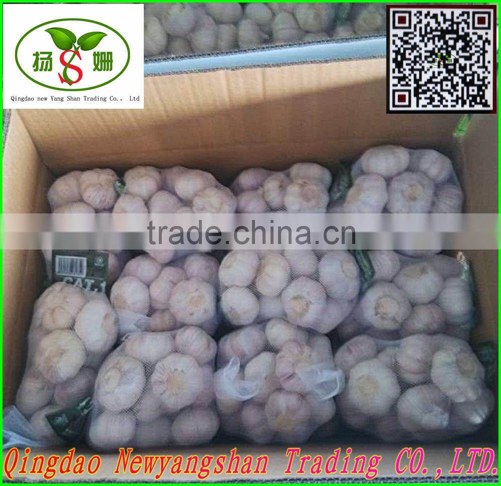 4.5cm-5.cm,5.cm-6cm,6cm up Pure white garlic/white garlic /organic garlic export
