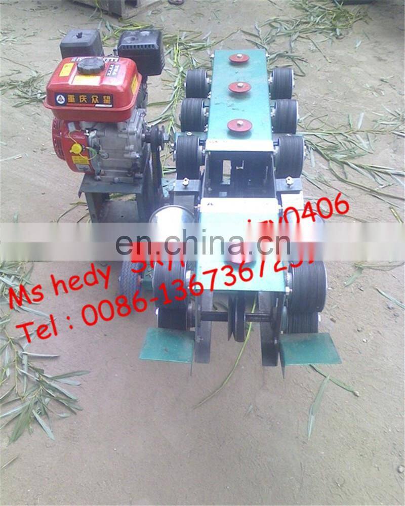 China golden supplier osier peeler machine wicker peeler machine willow stick peeling machine