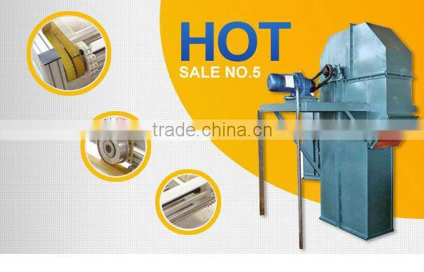 China Top Ten Machinery Supplier with Best Quality Metal Powder Bucket Elevator