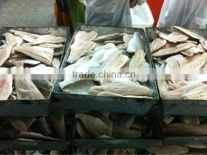 Sea Frozen Red Snapper