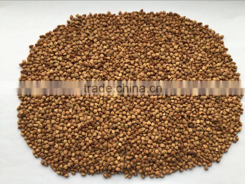 2016- New crop roasted Buckwheat kernel