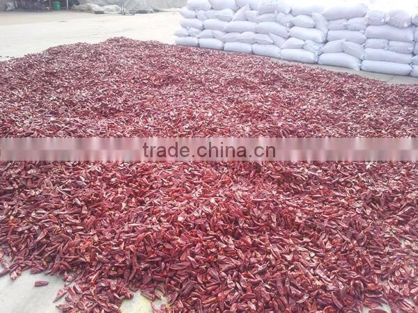 indian dry red chilli