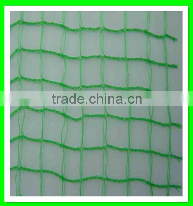 Henan Suntex professional supply PE anti bird net for garden protection