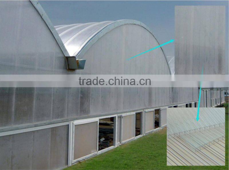 6mm translucent transparent pc hollow sheet house for sale