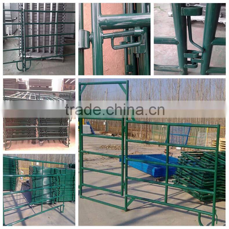 Australia hot dipped galvanized heavy duty cattle panels In Farm (Factory Trade Assurance)